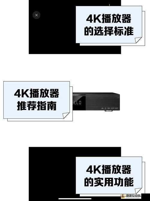 播放高清的播放器 windows 最佳选择 满足你的高清观影需求